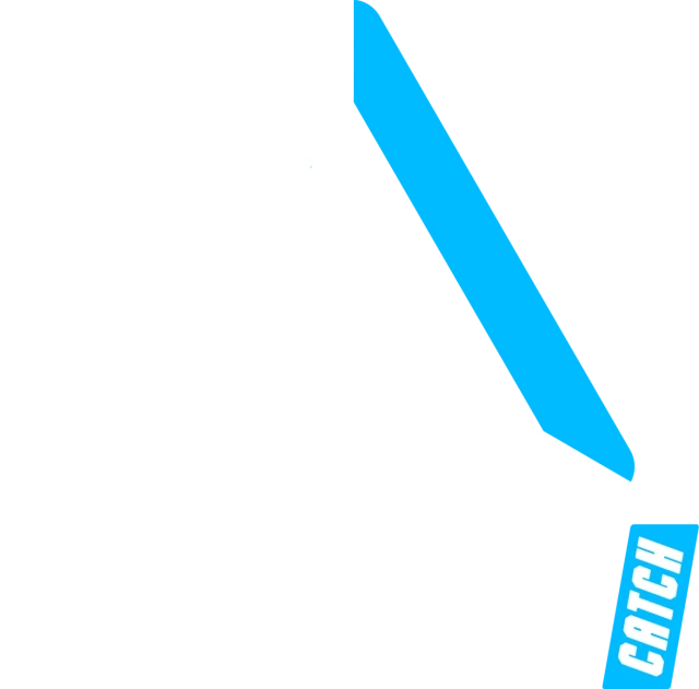 Prisma Catch